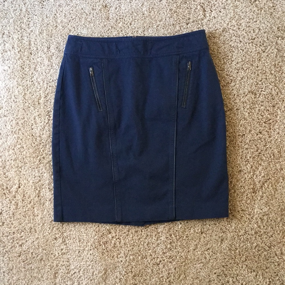 Ann Taylor Skirt